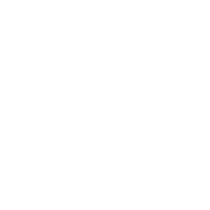 logo-tunisie-sécurité-light